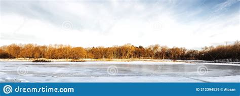 Winter Forest Landscape with a Frozen Lake in the Netherlands Stock ...