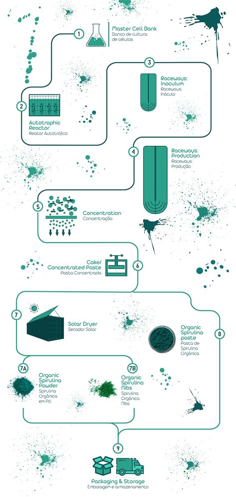 Spirulina Cultivation Methods