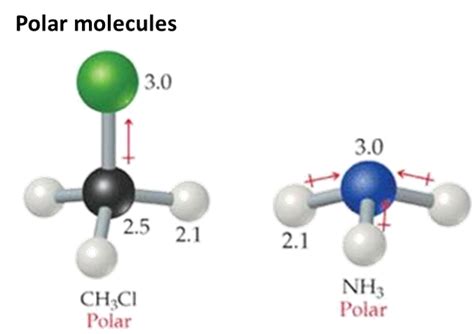 5. Polarity and Solubility