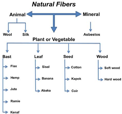 Classification of natural fibers according to their origin with ...