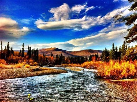 Chena River State Recreation Area - Alchetron, the free social encyclopedia