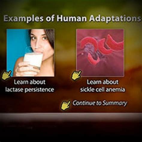 Recent Adaptations in Humans