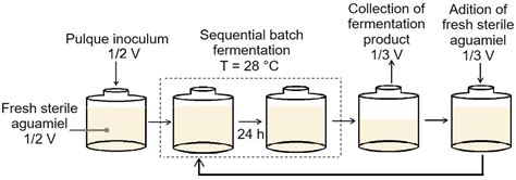 Fermentation | Free Full-Text | A Semi-Continuous Fermentation Process ...