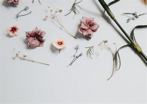 Minimalist Floral Laptop Wallpapers - Wallpaper Cave