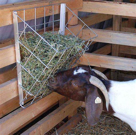 Homemade Hay Rack For Goats - Homemade Ftempo