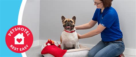 PetSmart Dog Boarding, Dog Hotel Locations - Woodinville, Washington