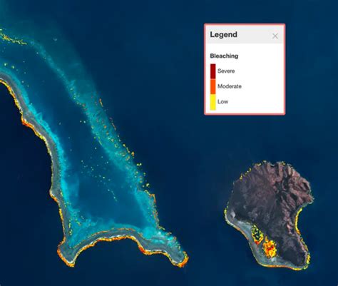 First-ever coral reef world map in high-resolution is ready | World ...