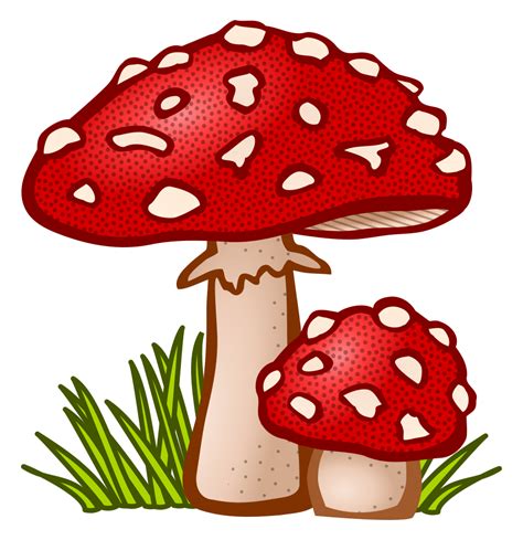 OnlineLabels Clip Art - Toadstool - Coloured