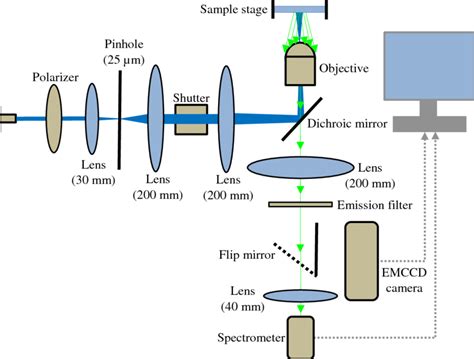 Schematic diagram of a custom built fluorescence spectroscopy setup for ...