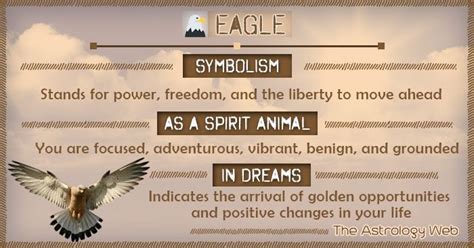 Eagle Symbolism Spirit Animal Dream | Spirit animal, Spirit animal art ...