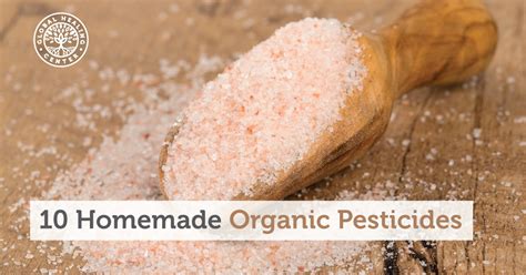 10 Homemade Organic Pesticides