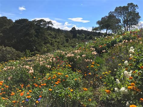 "Paisa" Flower Farm - The Andes Adventure