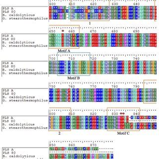 -Sequence alignment of the amino acids translated from the 0.9 kb DNA ...