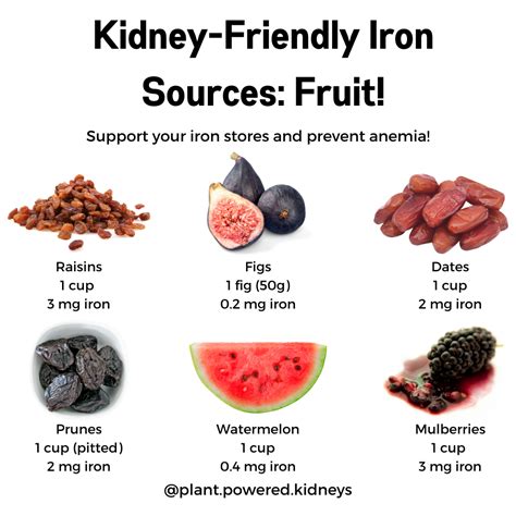 Iron-Rich Foods for CKD Patients - Plant-Powered Kidneys | Renal Diet ...