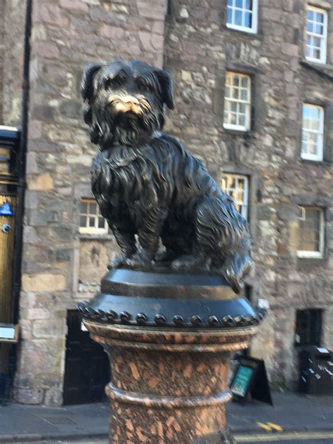 Greyfriars Bobby | Greyfriars bobby, Lion sculpture, Statue