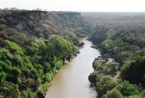 Awash National Park & the Alledeghi Plains, Ethiopia - Journeys by Design