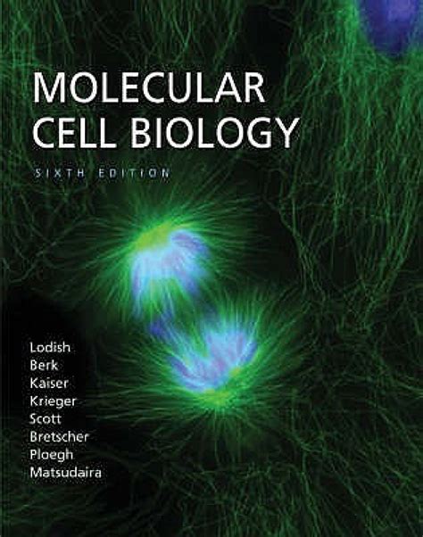 Molecular Cell Biology 6TH Edition 6th Revised edition Edition - Buy ...