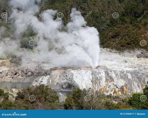 Rotorua Geysers - New Zealand Stock Image - Image of natural, steam ...