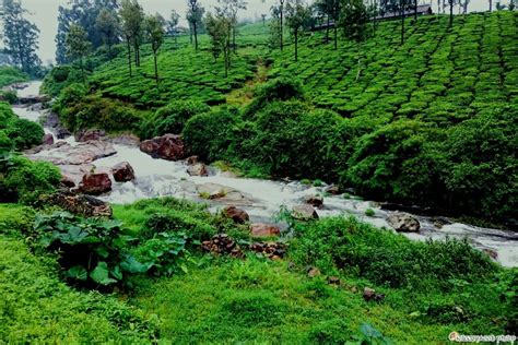 Valparai, India: All You Must Know Before You Go (2024) - Tripadvisor