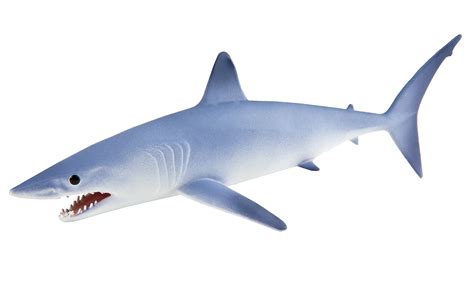 Safari Ltd. Mako Shark – Realistic Hand Painted Toy Figurine Model ...