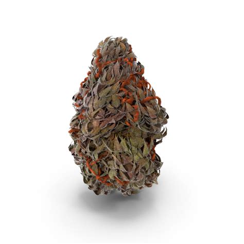 Marijuana Buds PNG Images & PSDs for Download | PixelSquid - S10592042F