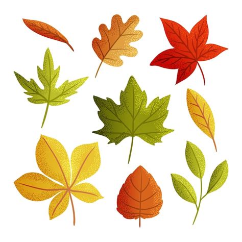 Watercolor Fall Leaves Clipart Fall Clipart Autumn Decor - Clipart ...