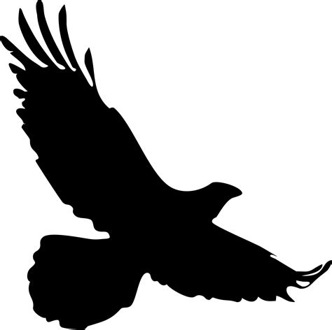 Falcon Silhouette Free Stock Photo - Public Domain Pictures