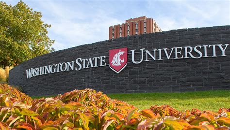 Global Campus growth helps stabilize overall WSU enrollment | WSU ...