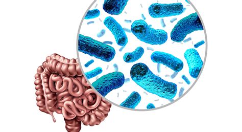 Four science-backed ways of taking care of your gut microbiota