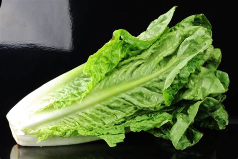 Romaine lettuce on a black background (Lactuca sativa L. var ...