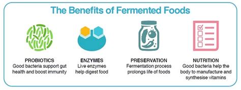 What’s the Fuss About Fermented Foods? | Mount Alvernia Hospital Singapore