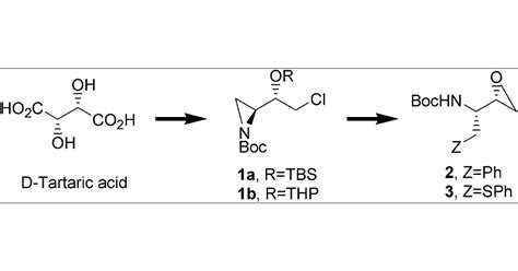 Synthesis of a Chiral Aziridine Derivative as a Versatile Intermediate ...