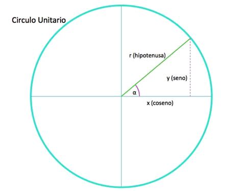 Querida Mate:: El Círculo Unitario