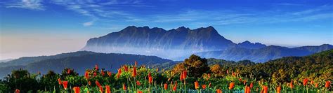 Nature Landscape Scenery Flower Mountain, spring 5120x1440 HD wallpaper ...