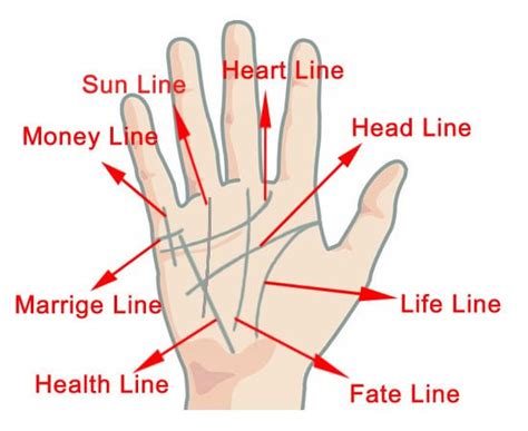 Palm Reading Your Way To Life’s Secrets: Palmistry 101 | Tourist ...