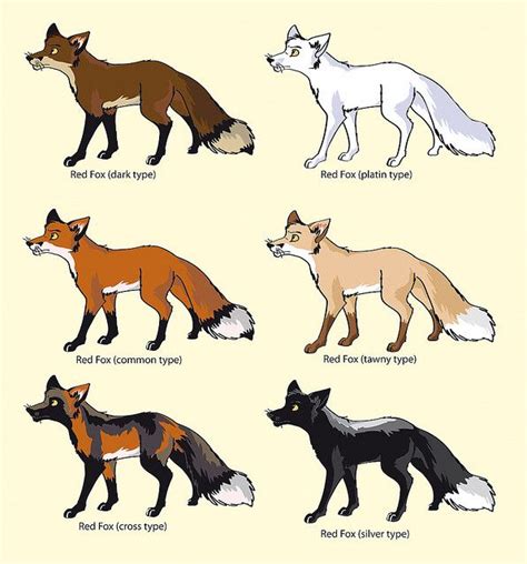 Red fox coat colors..... | Fox breeds, Pretty animals, Pet fox