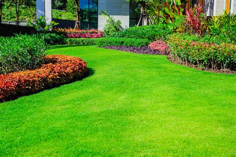 Six Steps to Have THE Perfect Lawn in 2020 - Houseman Services