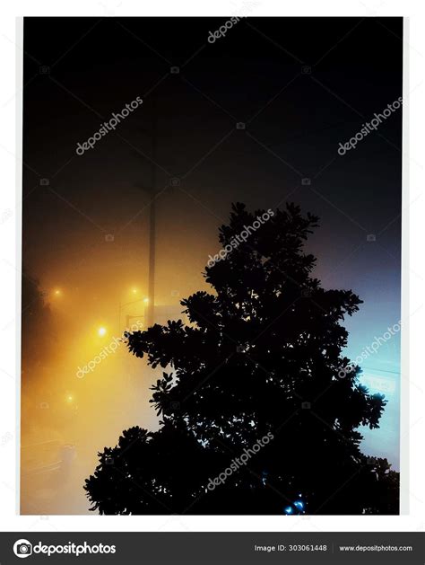 Silhouette Tree Night Sky — Stock Photo © Imaginechina-Tuchong #303061448