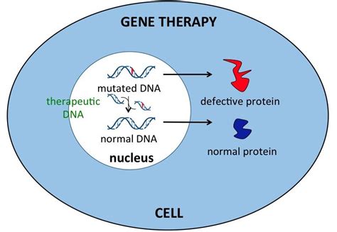 Gene Therapy Timeline