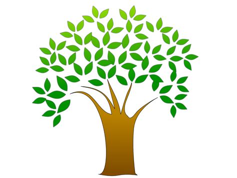 Free Tree Png Vector, Download Free Tree Png Vector png images, Free ...