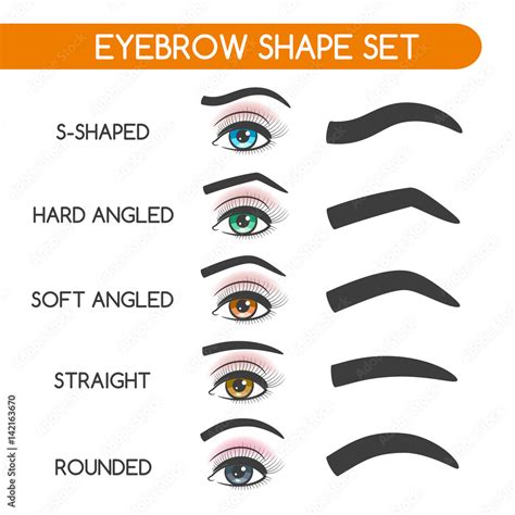 Eyebrow shaping for woman face makeup. Eyebrows shape set vector ...