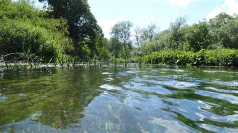 Thames Catchment Forum – Thames Rivers Trust