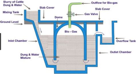 Biomass Energy - Class 10, Sources of Energy