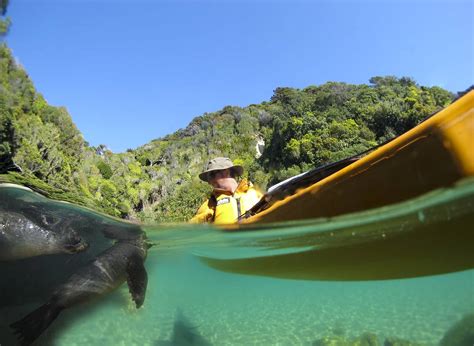 Kayaking through Abel Tasman National Park, Spring 2011 on Vimeo