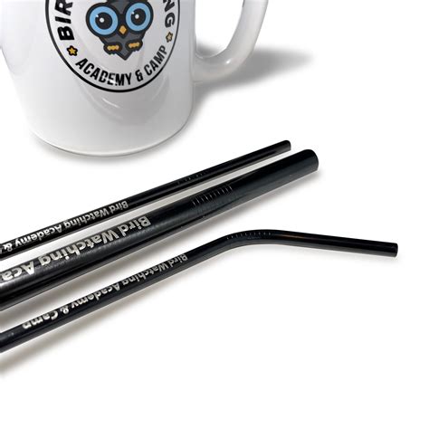 Reusable Black Metal Straws - Bird Watching Academy