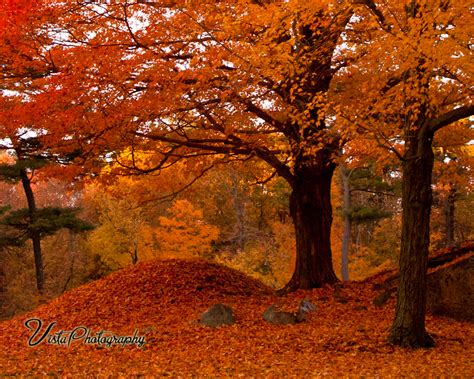 🔥 [40+] New England Fall Foliage Wallpapers | WallpaperSafari