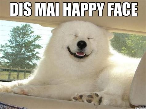 Smiling Dog Memes That Will Make You Very Happy | Always Pets