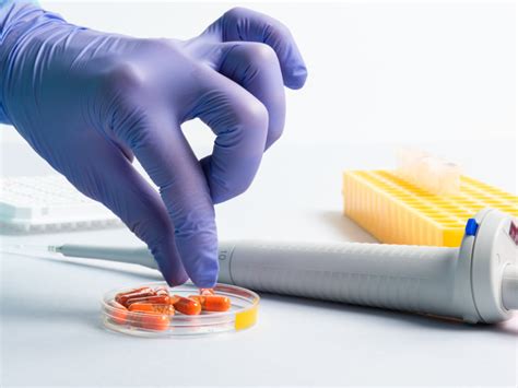 Pharmaceutical Drug Development - Stages of Drug Development