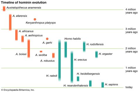 Paleolithic Period | Definition, Dates, & Facts | Britannica