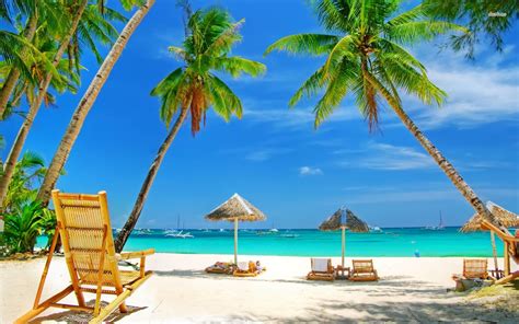 🔥 [40+] Tropical Beach Chairs Free Wallpapers | WallpaperSafari